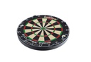 Steelboard Eclipse Pro2 PDC Unicorn