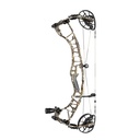 Ventum 33 Compound Hoyt 