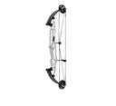 Stratos HBT 40 Hoyt 