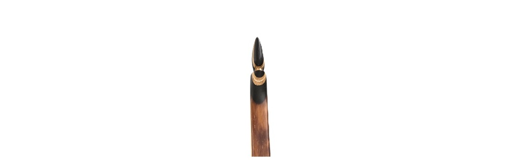 Langbogen Wildfire 66" RH 50# TFK