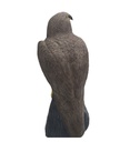 Falke Horst B.M.R.
