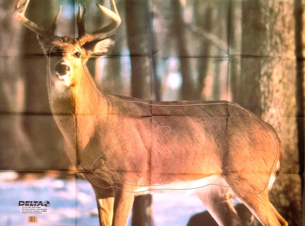 Tierbild Whitetail Deer 402 Delta