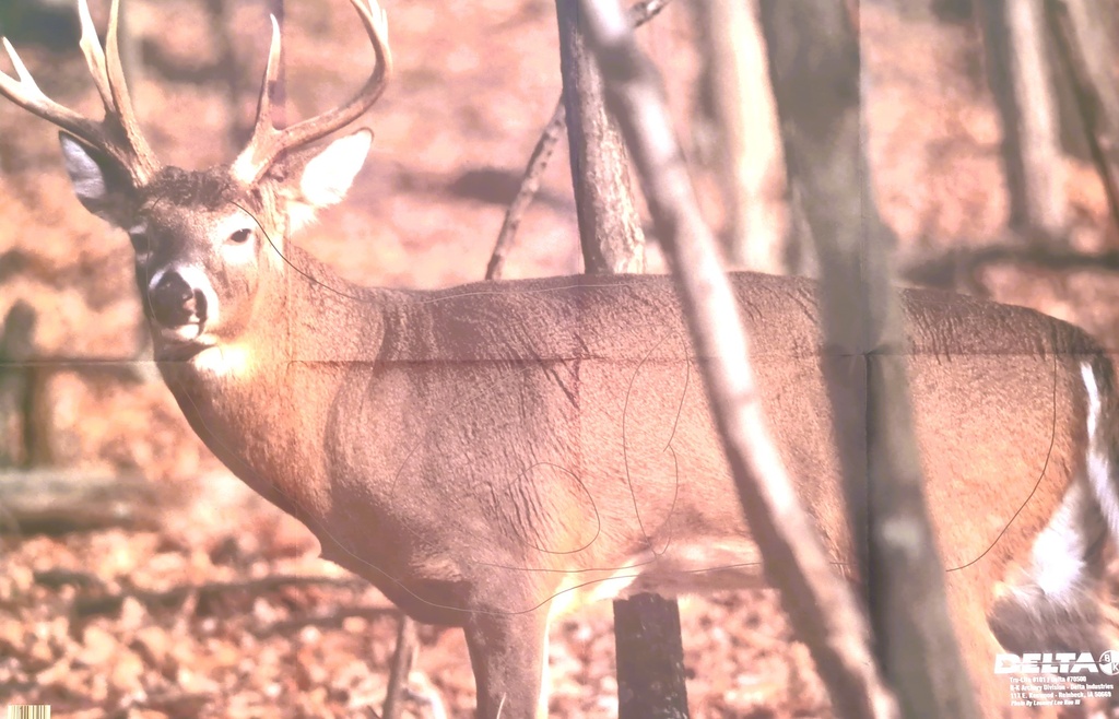 Animal Target Whitetail Deer 502 Delta