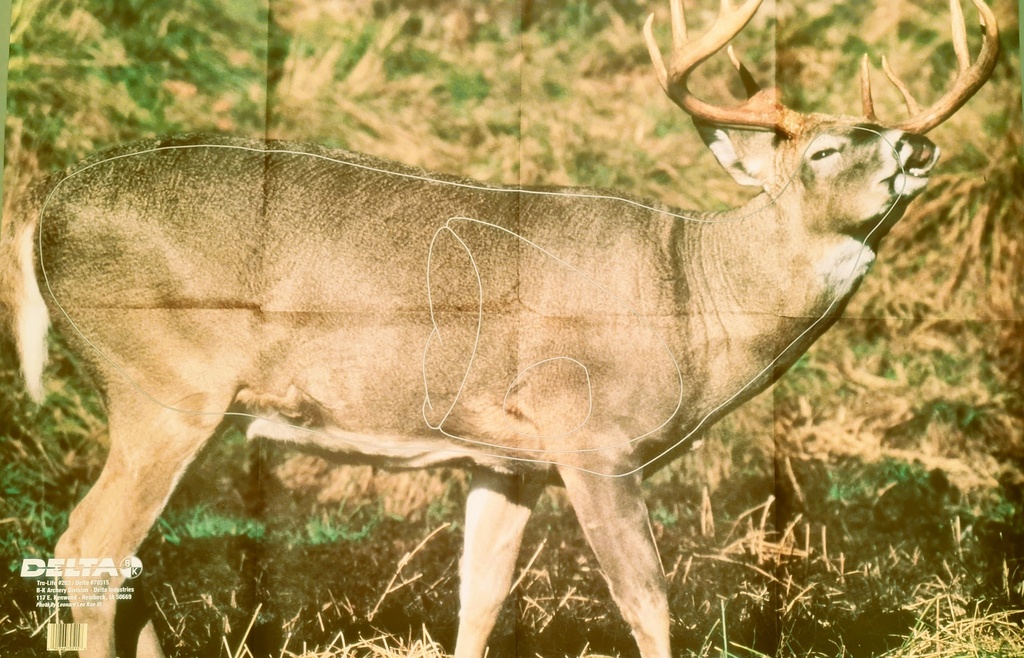 Cible Animale Whitetail Deer 517 Delta