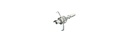 Screw-in tips JudoPoint 2pc. Zwickey (100Grain)