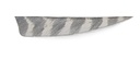 Naturfeder LW Shield 4" WildBarred