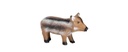 Piglet FB 