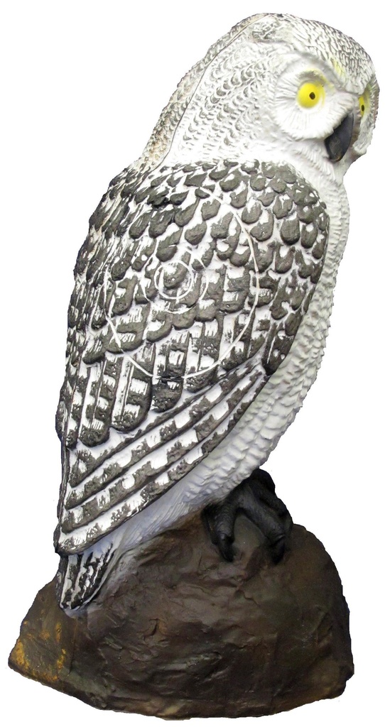 Screech Owl White SRT 