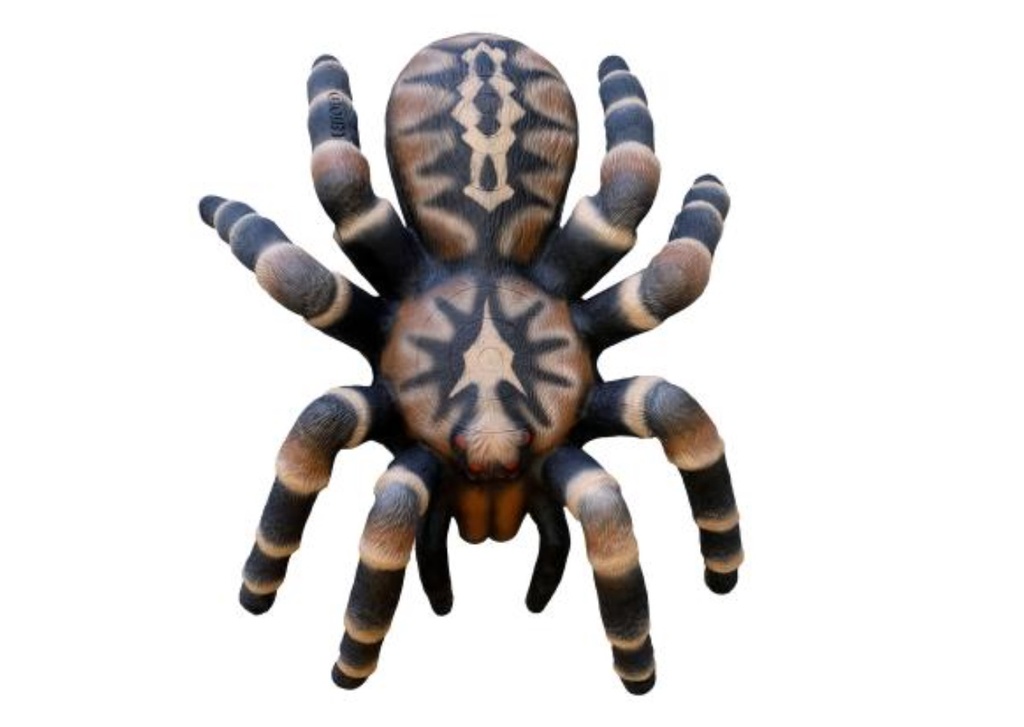 Tarantula Leitold