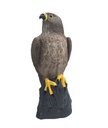 Falke Horst B.M.R.
