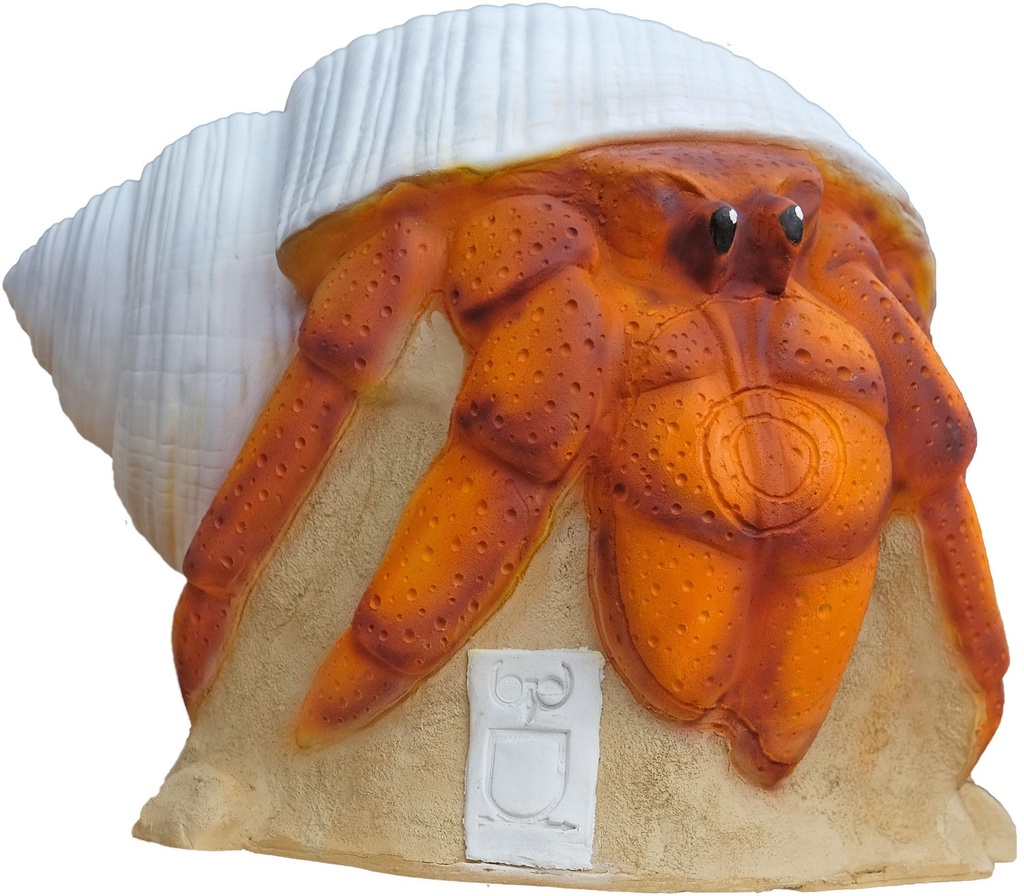 Crabe ermite 3Di SRT 