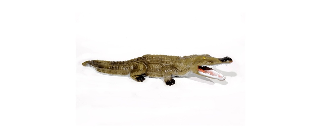 Crocodile petit   FB