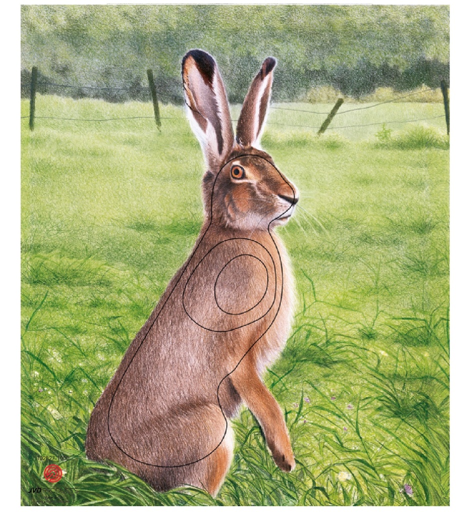 Tierbild Hase
