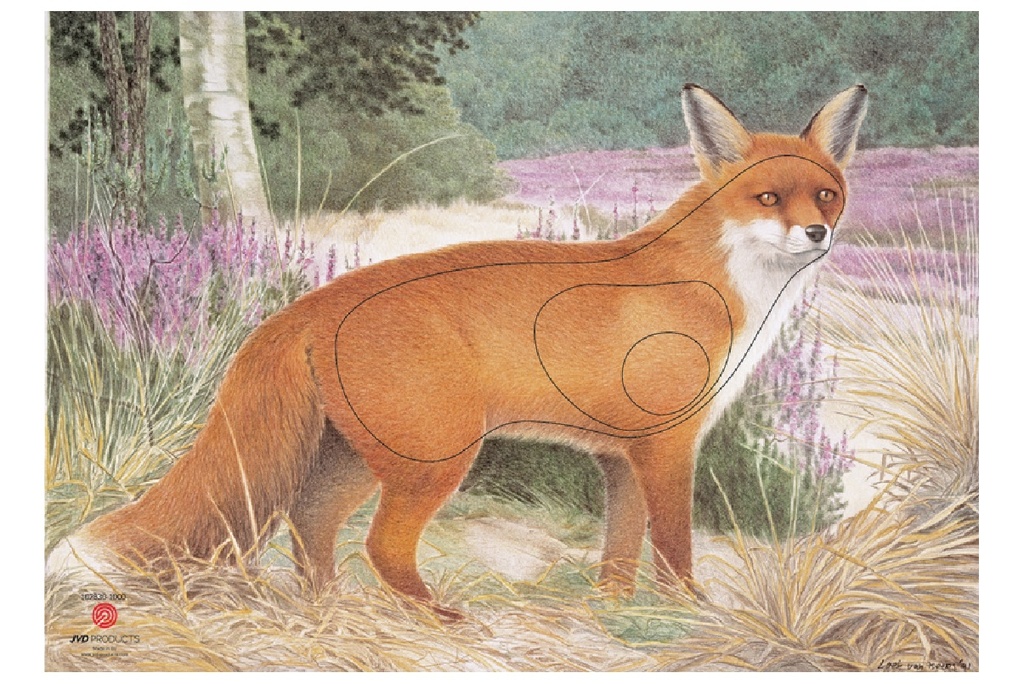 Animal picture Fox