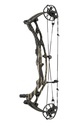 Compound RX-10 Ultra America 250 Hoyt