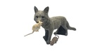 Renard Floki B.M.R. 