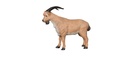 Billy Goat FB 