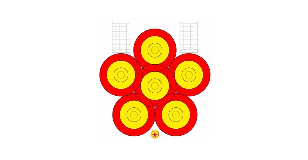 Target Face 40cm 6-Spot Danage