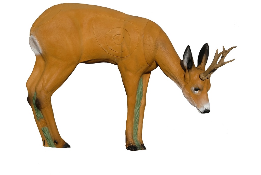 Roebuck grazing SRT 