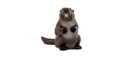 Beaver large FB