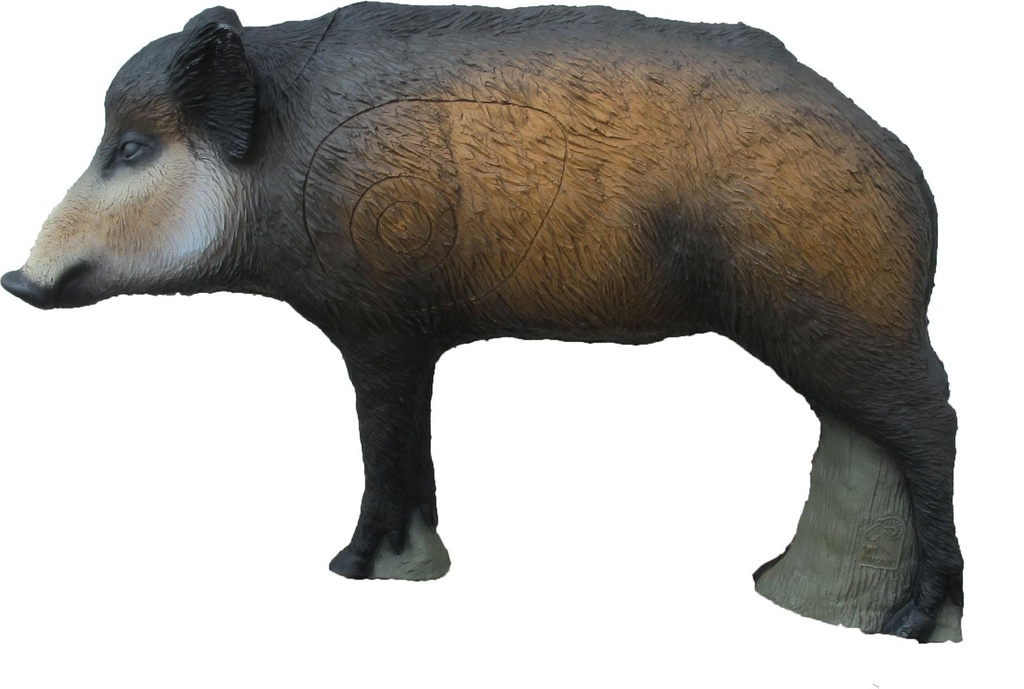 Junges Wildschwein SRT