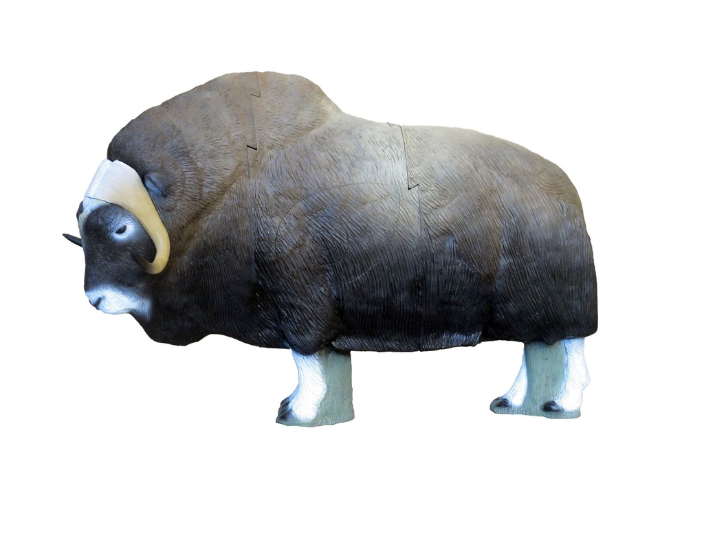 Musk Ox SRT 