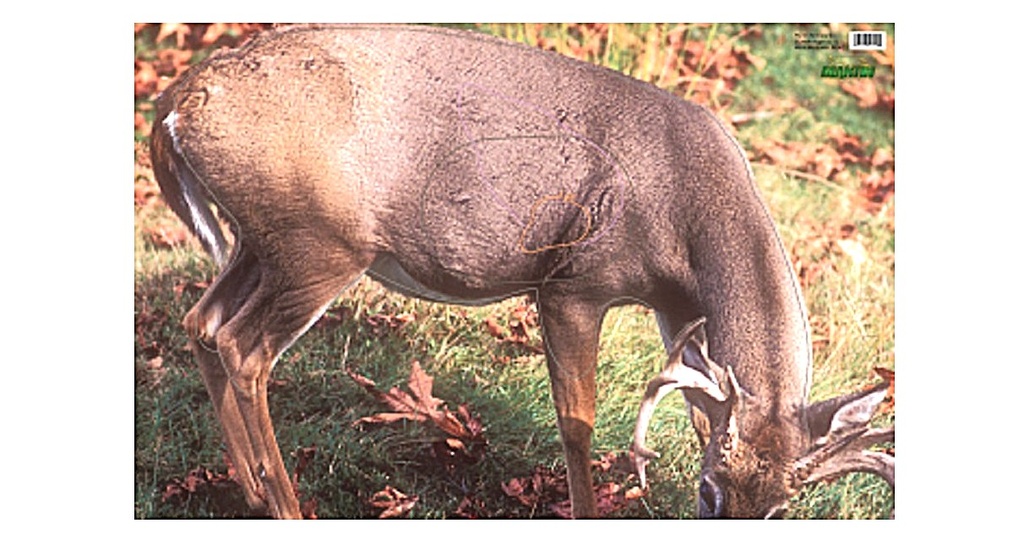 Cible animale Whitetail Deer Martin