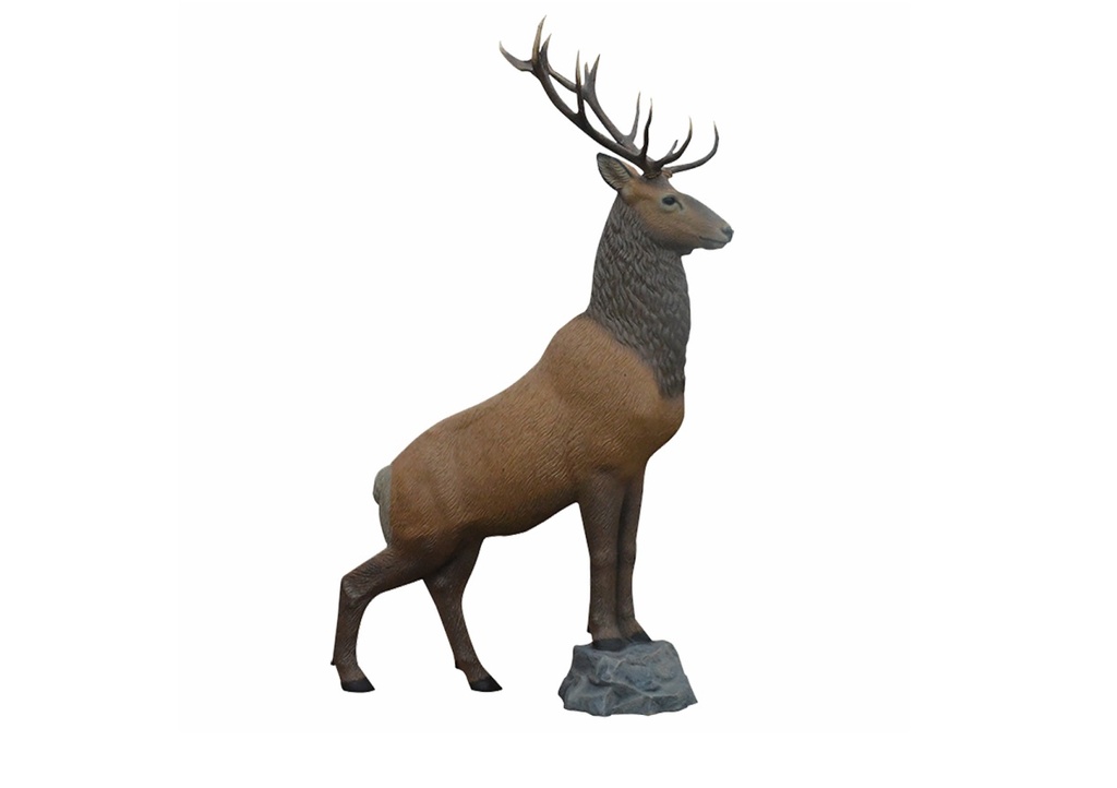 Rothirsch IBO Rinehart