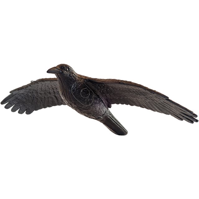 Raven flying FB