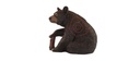 Honey Bear Sitting FB 