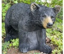 Honey Bear running FB 