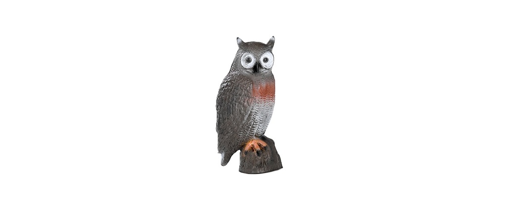 Brown Owl FB 