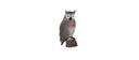 Brown Owl FB 