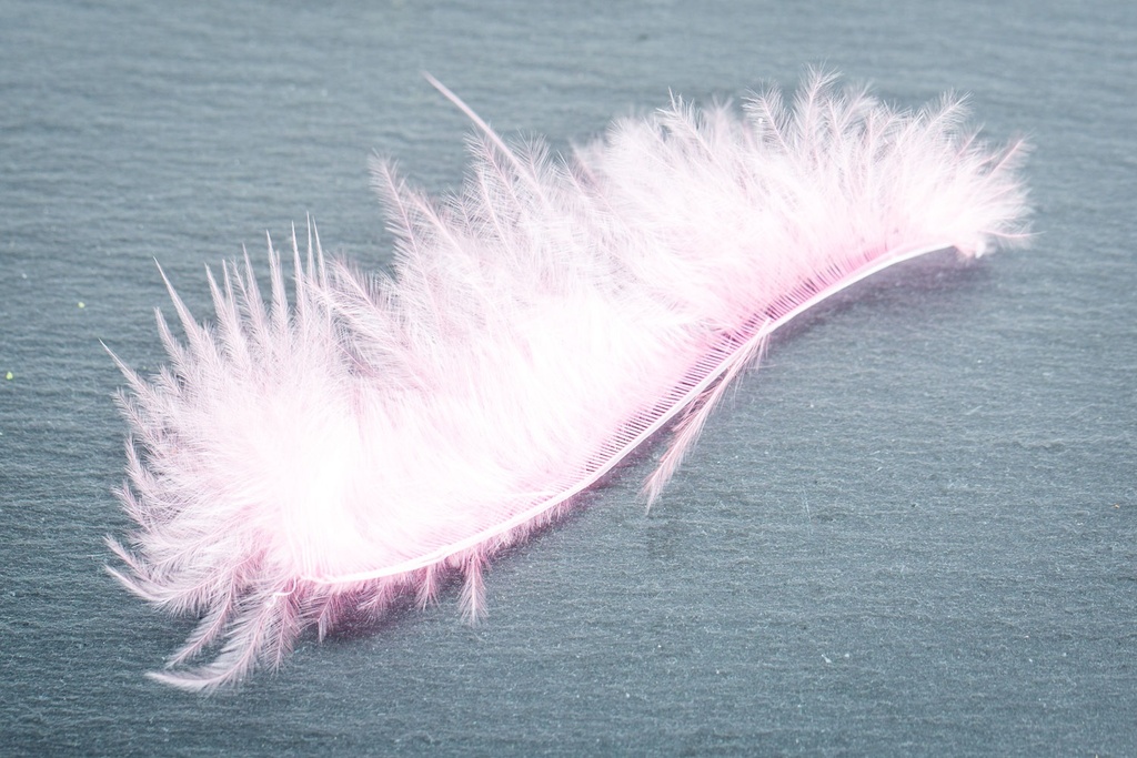 Plumes Naturelles Tracers 12pc.