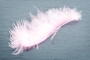 Plumes Naturelles Tracers 12pc.