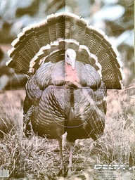 Cible Animale Full Strut Turkey Delta