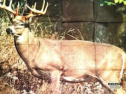 Cible Animale Whitetail Deer 401 Delta