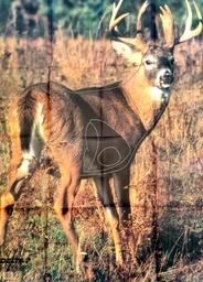 Cible Animale Cerf de Virginie 404 Delta