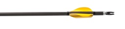 Fletching Spin Wing Vane