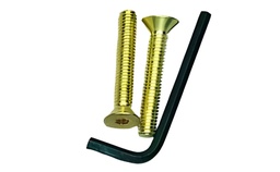 Limb Bolts Brass BlackWidow