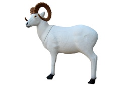 Mouflon de Dall SRT