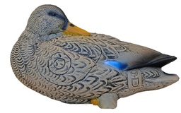 Ente Anatra 3Di SRT