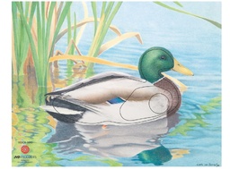 Photo d'animal Duck