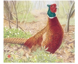 Tierbild Fasen