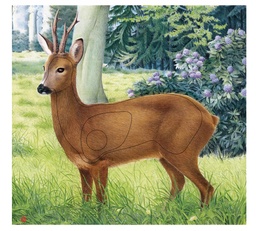 Animal picture Deer