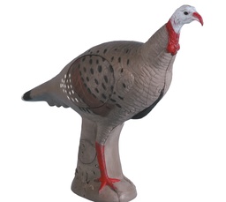 Cerf élaphe IBO Rinehart 