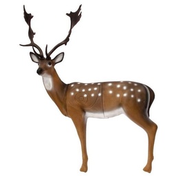 Fallow Deer SRT 