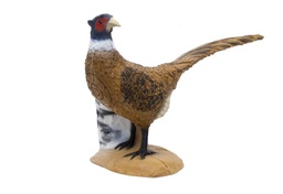 Pheasant SRT