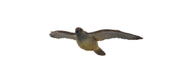 Faucon – Volant FB 