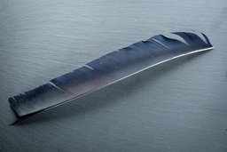 Plume naturelle LW pleine longueur Solid